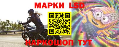 наркотики Кингисепп